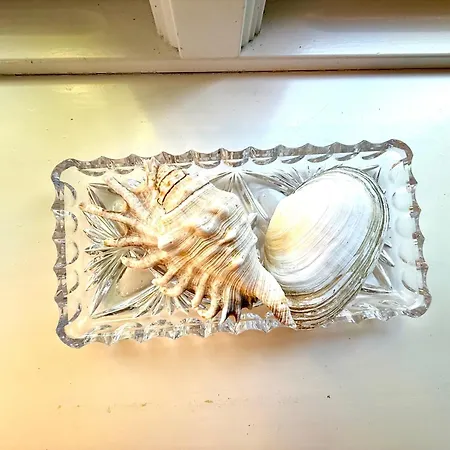 Altenteil Hébergement de vacances Oldsum